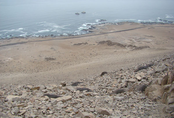 C D E F Foto 5. Punta Lobos, 50-300 m. usencia de desarrollo de vegetación herbácea.