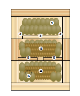 Conceptos de la numeración: (1) alzas de potes de miel y polen; (2) grietas de acceso a las alzas de las abejas; (3) fondo de alza de miel; (4) Discos de cría; (5) Ángulos del módulo dividido; (6)