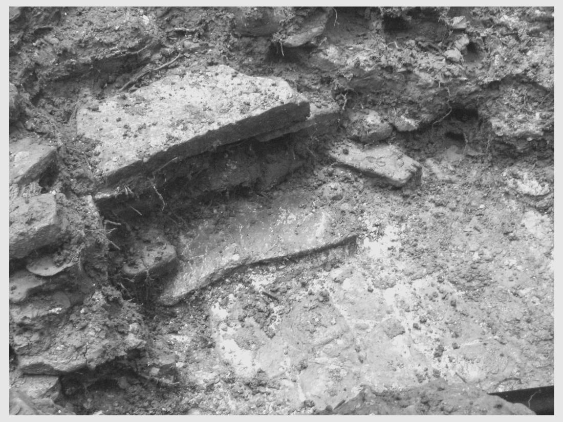 Figura 5 Agujas de hueso encontradas en reserva de agua Norte (Fotografía A.