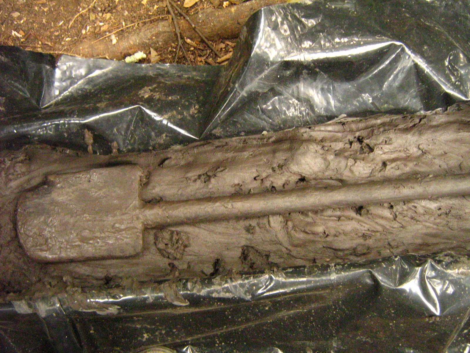 Fig. 28. Remo de madera localizado en Reservorio Norte (Fotografía S.