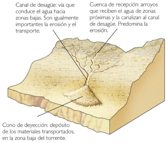 Partes del torrente Cuenca de recepción: Zona alta que recoge la lluvia.