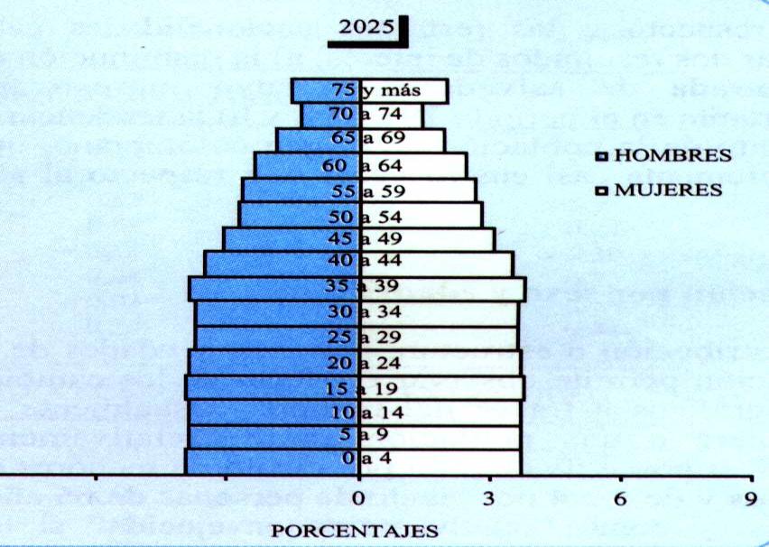 Cambio perfil demográfico Fuente: IX Censo