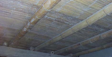 TECHO CON CAÑA GUAYAQUIL En el techo de la vivienda se muestra las cañas guayaquil, la caña chancada