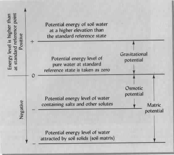 2. El potencial total del AeS y sus componentes T w g Potencial total del AeS Potencial gravitacional Potencial Hídrico w m o p El