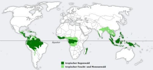 Selva Tropical Tiene elevadas precipitaciones (2000 a 5000 mm anuales).
