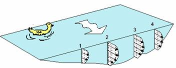 b) Tipo hélice Un molinete mide la velocidad en un único punto, es por esto que, para calcular el caudal total se deben realizar varias mediciones.