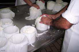 En la elaboración de quesos: SUERO LACTOSA PROTEINAS GRASA SALES MINERALES Principales componentes en