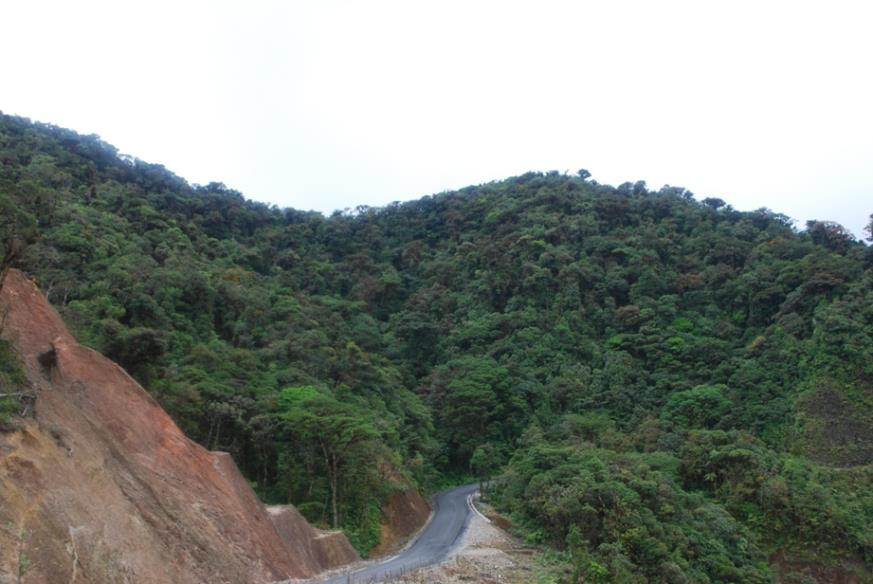 Sistema de clasificación de cobertura boscosa de Panamá Bosque montano maduro, Selección Zona San Felix de áreas de entrenamiento Cobertura boscosa de dosel heterogéneo, especies de mediana altura.