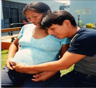Se han sistematizado, analizado y difundido 04 buenas prácticas sobre prevención del embarazo en adolescentes en el