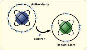 Se basa en que las moléculas de nuestro organismo son estables y la estructura de sus átomos contiene electrones emparejados que contribuyen a ello.