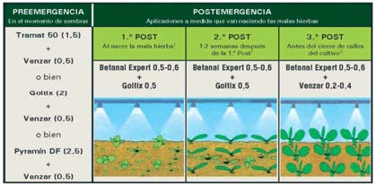 FIGURA 1 Programa general recomendado para el control de malas hierbas en el cultivo de la remolacha de siembra otoñal.