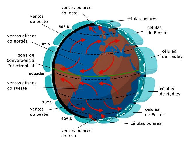 Régimen global de vientos Como los vientos se desplazan de zonas de alta, a baja presión, se da un régimen global de circulación de vientos a nivel planetario en que se distinguen tres celdas o