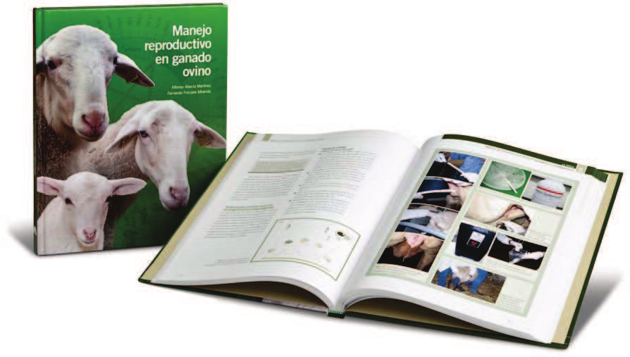 LA EDITORIAL DE LOS VETERINARIOS ANIMALES DE PRODUCCIÓN OVINO Manejo reproductivo en ganado ovino Dirigido a veterinarios, estudiantes, profesores y profesionales del sector.