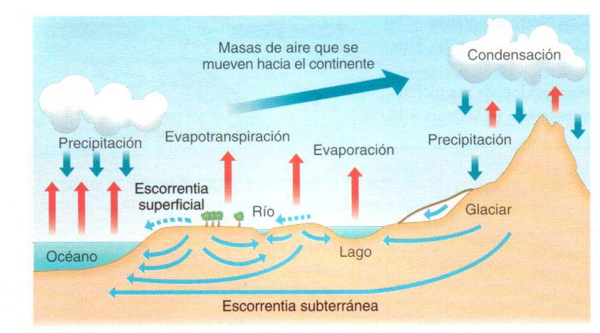 Fases del ciclo hidrológico Evaporación.
