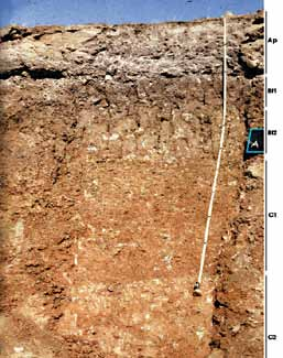 Guía simplificada de evaluación del suelo El suelo es una formación natural que se halla en la intersección de la litósfera, hidrósfera, biosfera y atmósfera.