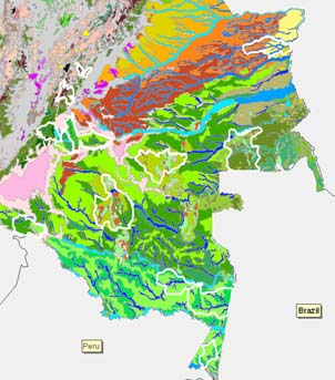 Representatividad de Ecosistemas de las Áreas Protegidas Dirección Territorial Amazonía Orinoquía Fuente: Sistema de Información DTAO
