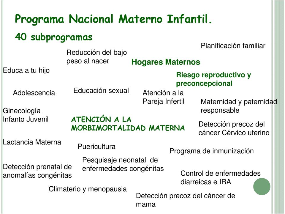 Infanto Juvenil Lactancia Materna Detección prenatal de anomalías congénitas ATENCIÓN A LA MORBIMORTALIDAD MATERNA Puericultura Pesquisaje neonatal de