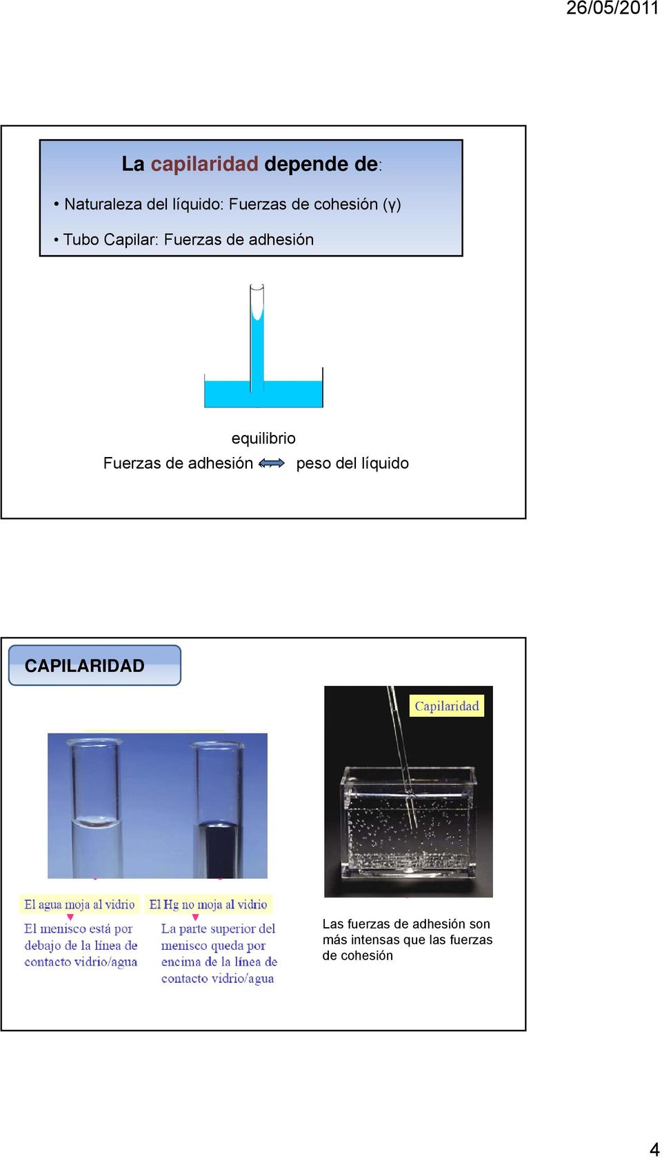 equilibrio Fuerzas de adhesión peso del líquido CAPILARIDAD