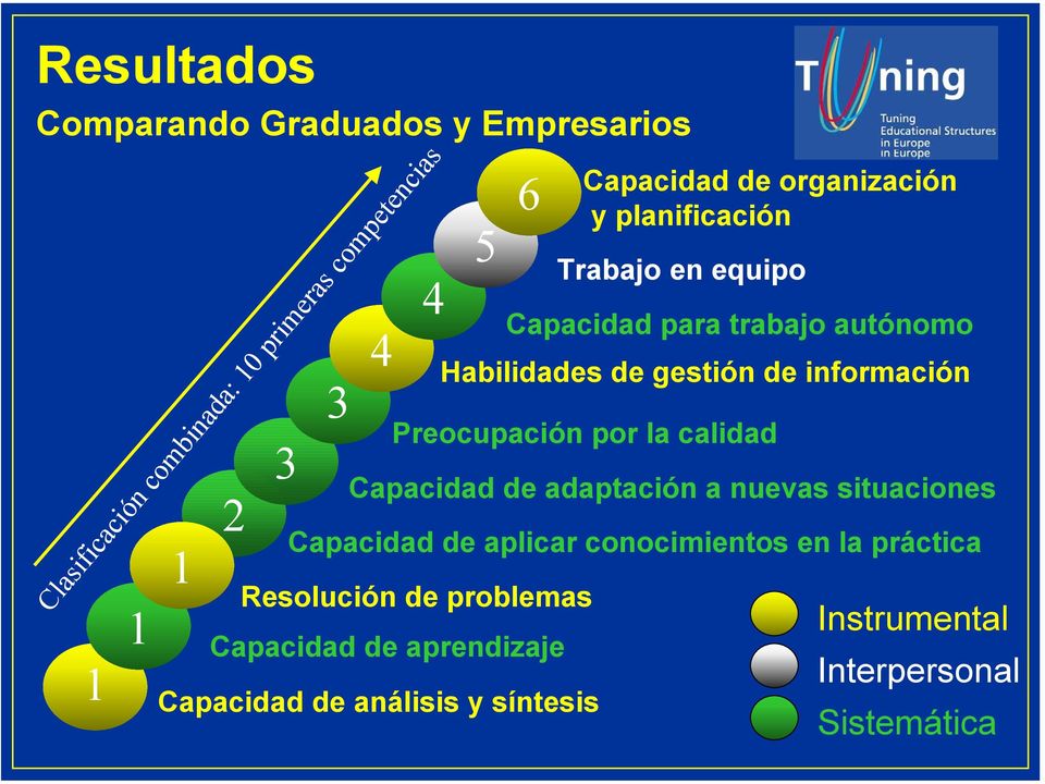 Habilidades de gestión de información Preocupación por la calidad Resolución de problemas Capacidad de aprendizaje