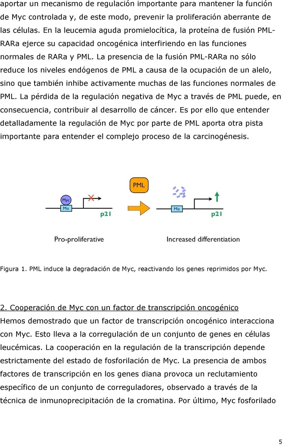 La presencia de la fusión PML-RARa no sólo reduce los niveles endógenos de PML a causa de la ocupación de un alelo, sino que también inhibe activamente muchas de las funciones normales de PML.