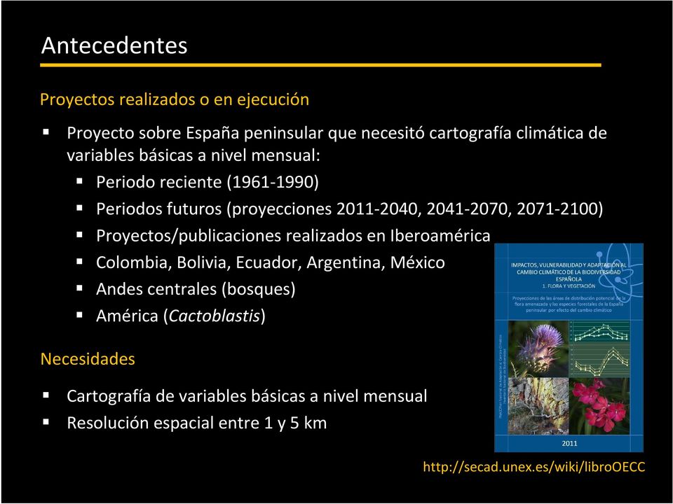 Proyectos/publicaciones realizados en Iberoamérica Colombia, Bolivia, Ecuador, Argentina, México Andes centrales (bosques) América