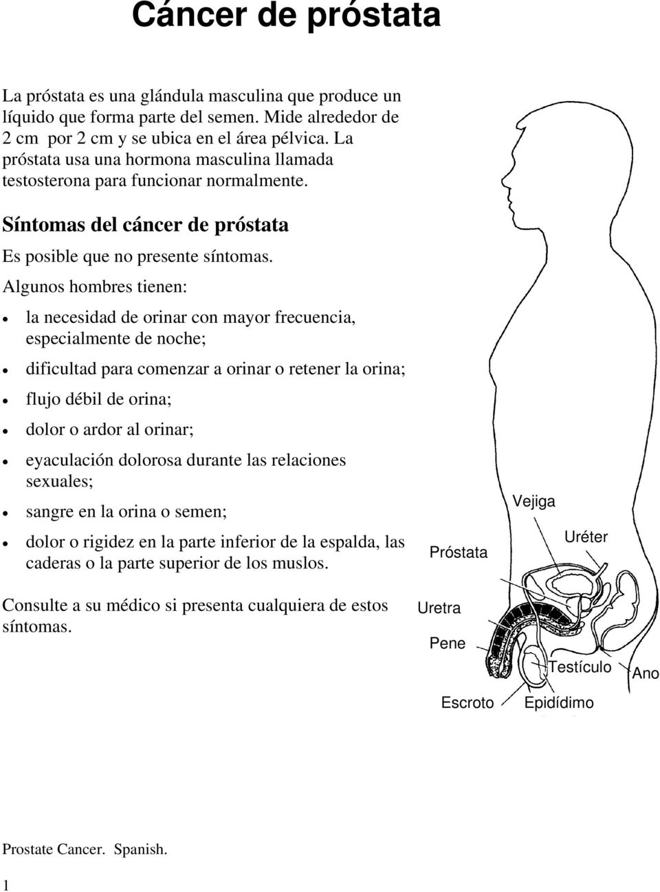Nitroglicerin és prostatitis)