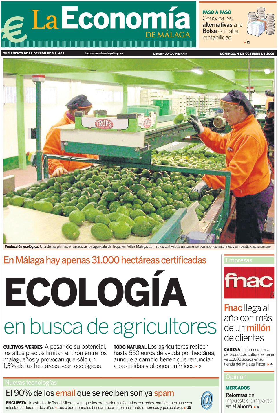 Una de las plantas envasadoras de aguacate de Trops, en Vélez Málaga, con frutos cultivados únicamente con abonos naturales y sin pesticidas. F. EXTREMERA En Málaga hay apenas 31.