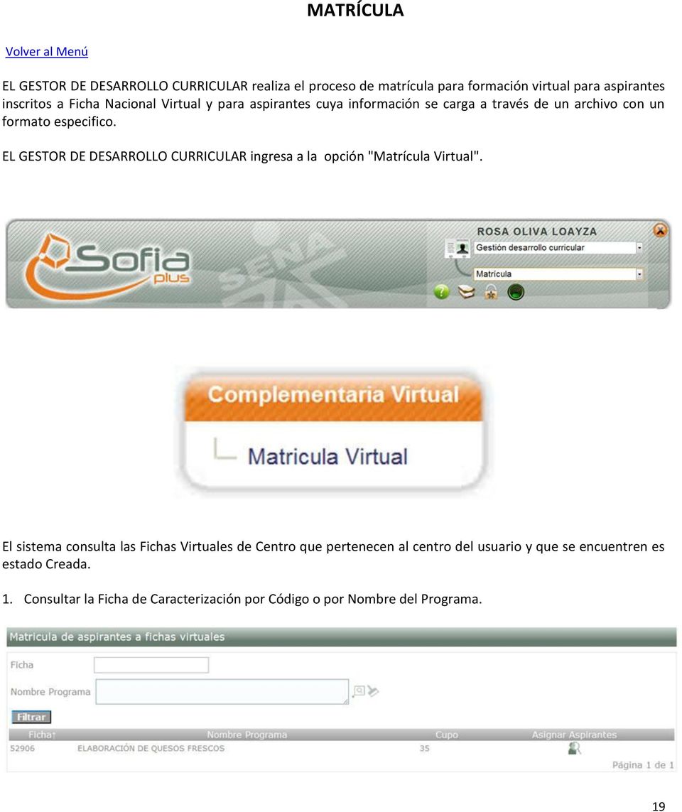 EL GESTOR DE DESARROLLO CURRICULAR ingresa a la opción "Matrícula Virtual".