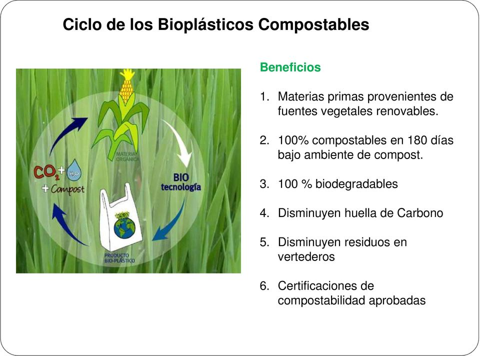 100% compostables en 180 días bajo ambiente de compost. 3.