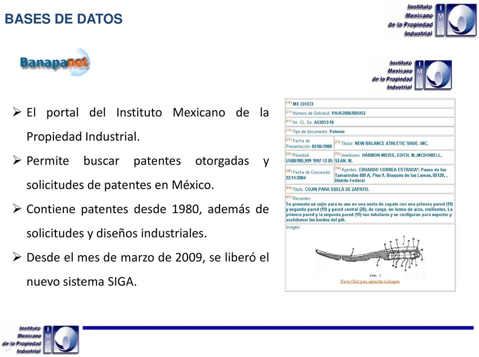 Permite buscar patentes otorgadas y solicitudes de patentes en México.