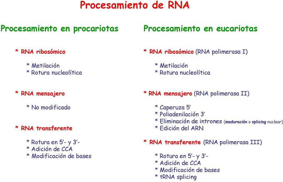 Adición de CCA * Modificación de bases * RNA mensajero (RNA polimerasa II) * Caperuza 5 * Poliadenilación 3 * Eliminación de intrones