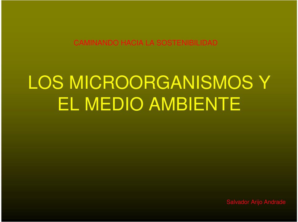 MICROORGANISMOS Y EL