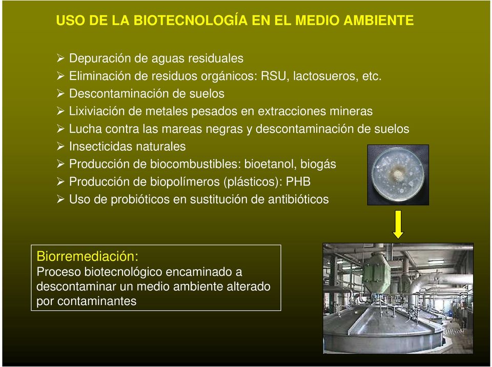suelos Insecticidas naturales Producción de biocombustibles: bioetanol, biogás Producción de biopolímeros (plásticos): PHB Uso de