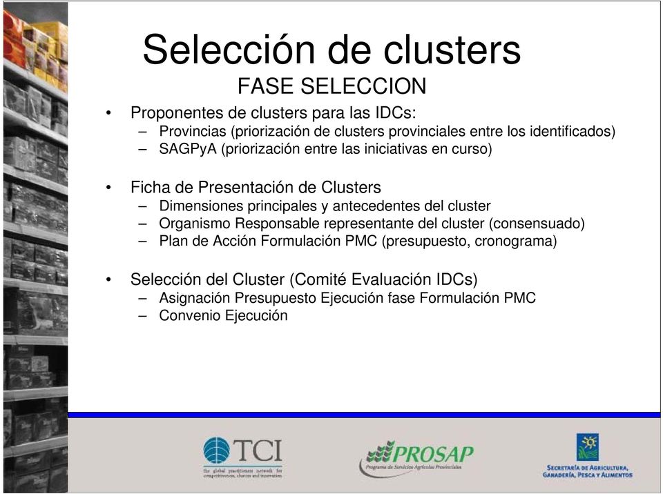 antecedentes del cluster Organismo Responsable representante del cluster (consensuado) Plan de Acción Formulación PMC (presupuesto,