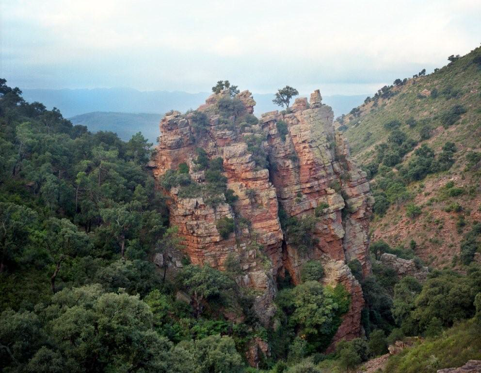 ESPACIOS NATURALES CORCHEROS Parque Natural de la Sierra de Espadán, barranco de Ajuez.