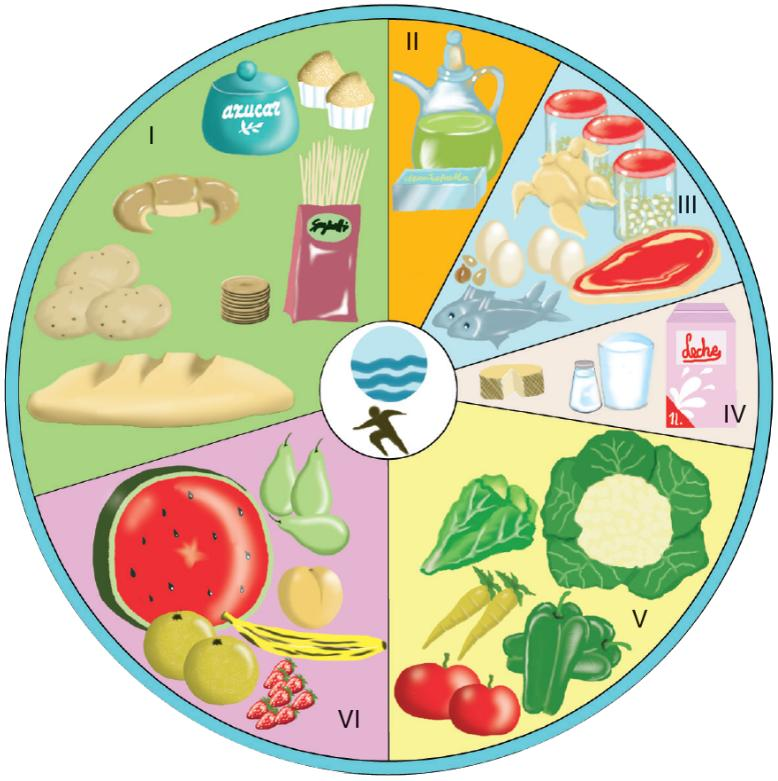 5. Los alimentos Función plástica o estructural. Función energética. Función reguladora. FUNCIONES DE LOS ALIMENTOS GRUPOS DE ALIMENTOS Grupo I: Cereales, azúcares y patatas.