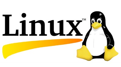 LINUX Linux es un sistema operativo que permite realizar un sin número de actividades y día a día aumenta la demanda entre empleos de tecnología.