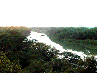 Río Icamaquã, con selva ribereña (afluente de