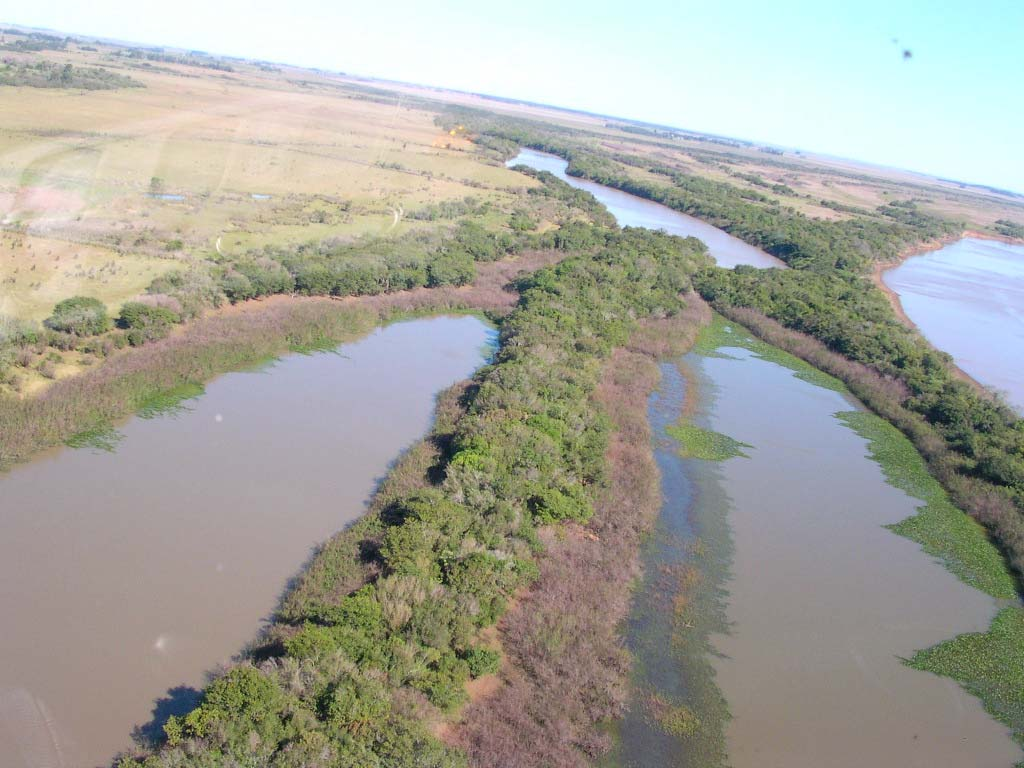 Humedales del margem izquierdo del Río Uruguay,