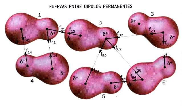 4. Fuerzas intermoleculares La parte + de un dipolo atrae a la parte del dipolo vecino -> F intermoleculares dipolares.