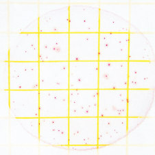 MNPC (Muy Numeroso Para Contar): para obtener mejores resultados, diluya su muestra. 6 7 Recuento estimado: 10 3 La figura 6 muestra una Placa Petrifilm AC con colonias muy numerosas para contar.