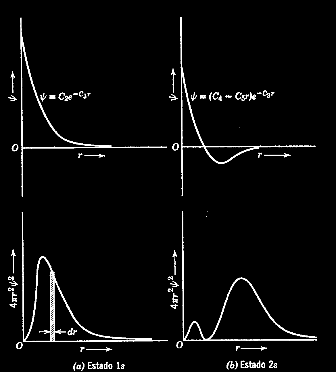 Orbital tipo s (l= 0) Representación de un orbital tipo s, según: a) el Modelo de Bohr (2D), y b) el Modelo Moderno (3D). En el Modelo Moderno los orbitales corresponden a nubes de probabilidad.