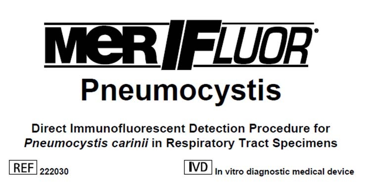 Imunofluorescencia Directa Diagnóstico Pneumocystis jirovecii Kits comerciales disponibles 1. Merifluor Pneumocystis KIT (MERIDIAN).
