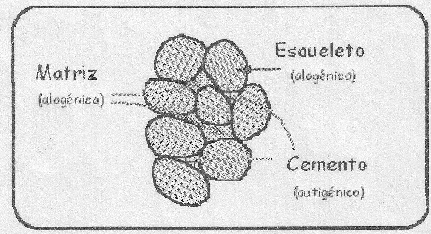 II) Anexo Componentes de las Rocas Sedimentarias Textura: Los elementos que definen el patrón textural de las rocas detríticas son: el tamaño de grano, la selección, la morfología de los clastos y el