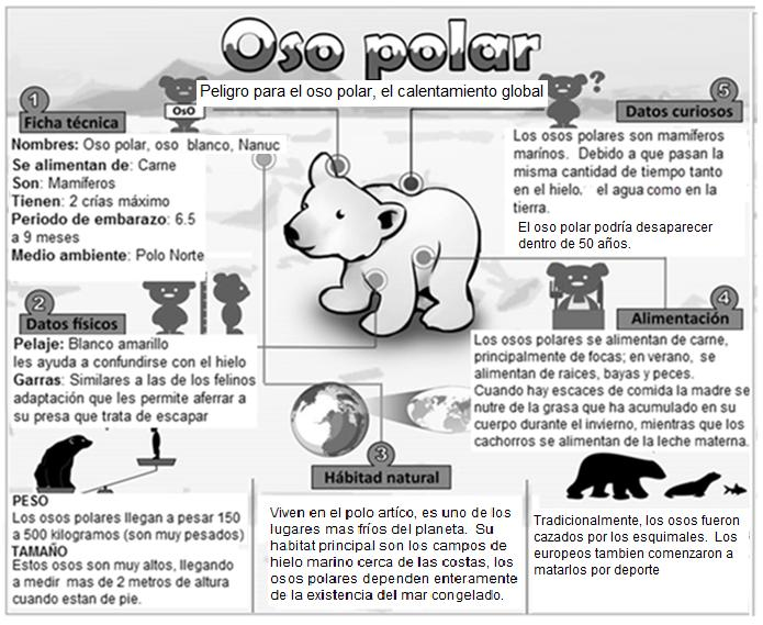 Fuente: https://es.pinterest.com/pin/552183604284924533/adaptado por Magdalena Luque G. Lee el siguiente texto: 1. Según el texto cómo es el pelaje del oso polar?