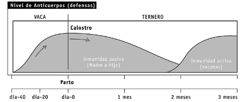 Figura 3.- Producción y calidad estacional promedio de praderas en el sistema Agrícola ganadero de La Estanzuela. (MGAP-IPA, 1995).