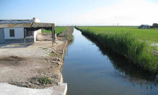 Delta del Ebro Programa de la calidad de las aguas del Delta del Ebro. Alimentación de las bahías con agua dulce de los canales de riego. 1ª Fase.