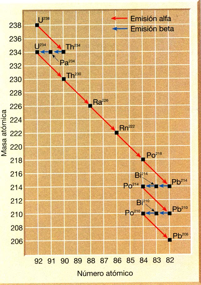 El radioisótopo padre (uranio-238) se descompone siguiendo una serie de etapas, emitiendo 8