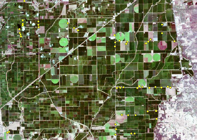 Verificación de siembra en predios del PROAGRO Productivo Con imágenes de satélite y el uso de GPS en campo, se determina si el predio fue