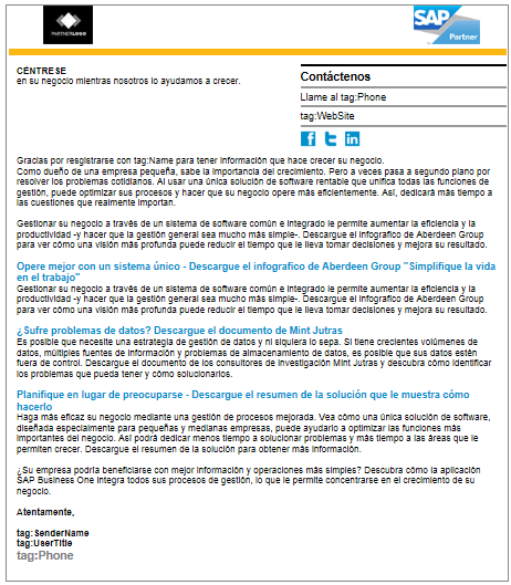 Campaña para Audiencia: Propietarios de PyMEs Piezas en SAP Virtual Agency Email x 5 uno por cada tema Página de destino Página de agradecimiento